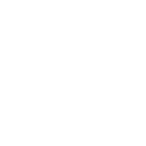 truck icon